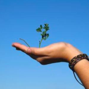 Accompagnement du cre ateur